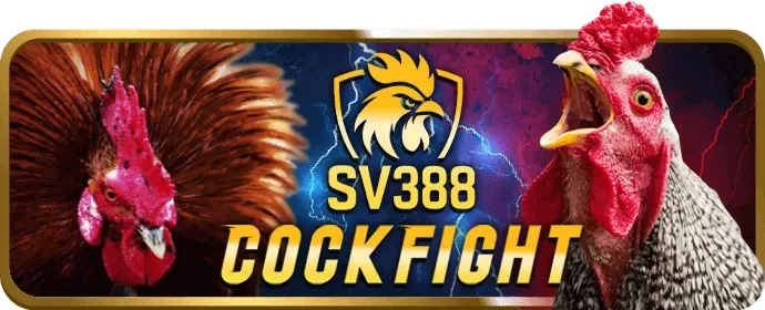 Vòng quay miễn phí tại win789 casino